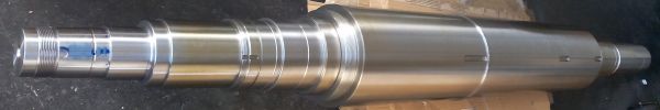 albero-coce48422F44-AEE4-F8F8-98EC-3FBCF0B84083.jpg