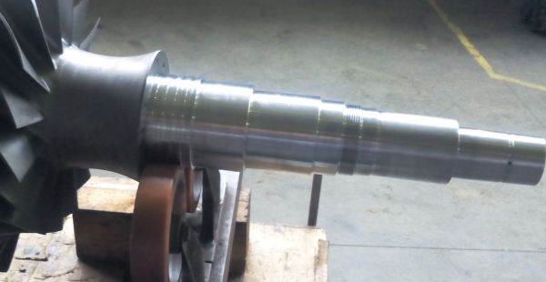 estremit-rotore36A329B5-0211-11DE-3761-5E4B71A88F05.jpg